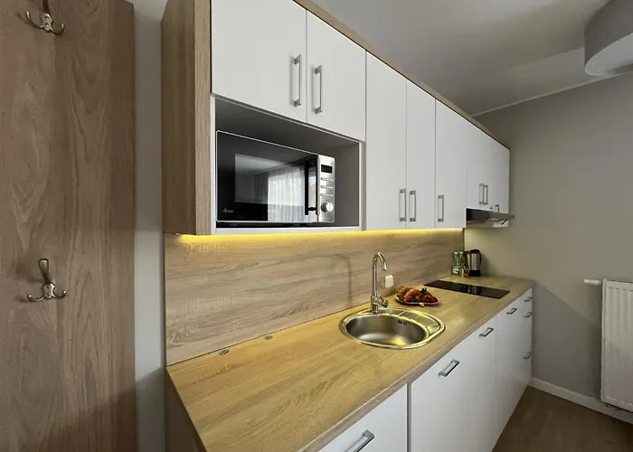 Mierzeja - Forest, Przyjazne Zwierzetom, Blisko Lasu, Bezplatny Meleks Apartment